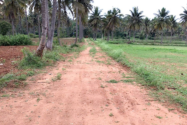 Land Road