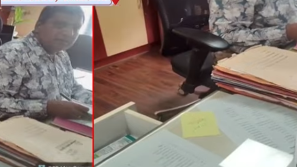 wmremove-transformed