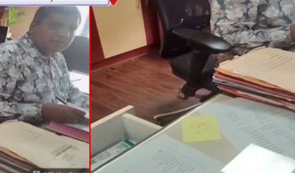 wmremove-transformed