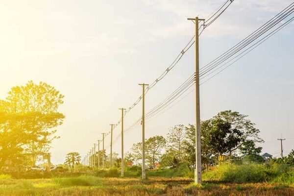 Electric-Pole-in-Agricultural-Land