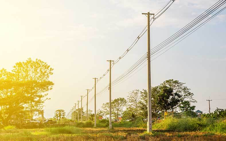 Electric-Pole-in-Agricultural-Land