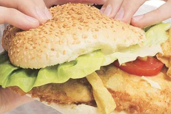 Junk Food