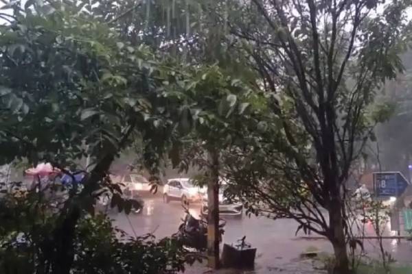 BNG Rain