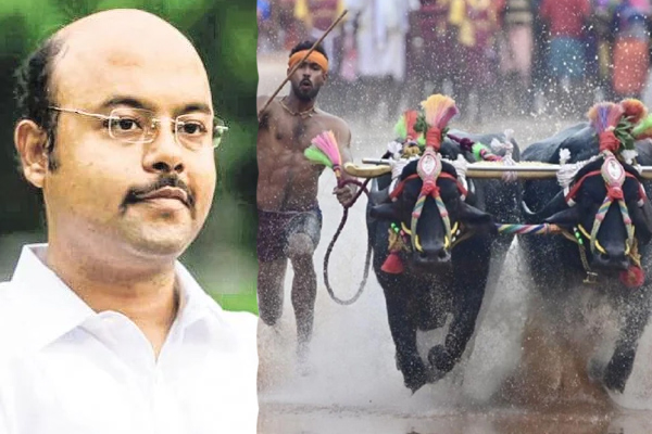 Kambala